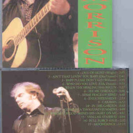 Van Morrison - Soul Labyrinth ( Fleadh & Feile , London and Eire , 1991 ) ( KTS )