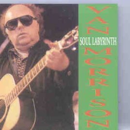 Van Morrison - Soul Labyrinth ( Fleadh & Feile , London and Eire , 1991 ) ( KTS ) front cover