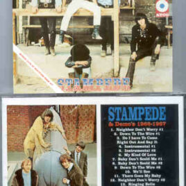 Neil Young / CSNY - Stampede ( Buffalo Springfield Demos 1966 & 1967 )