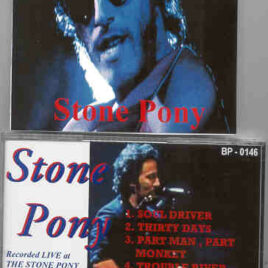Bruce Springsteen - Stone Pony