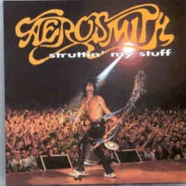 Aerosmith - Struttin' My Stuff ( 2 CD SET )( KTS ) ( Live In Brazil 1994 ) front cover
