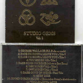 Led Zeppelin - Studio Gems Vol. 1 ( Takes from the Led Zeppelin I and Led Zeppelin II Recording Sessions )