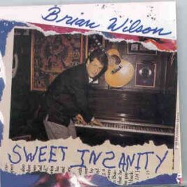 The Beach Boys - Sweet Insanity   ( Vigotone ) front cover