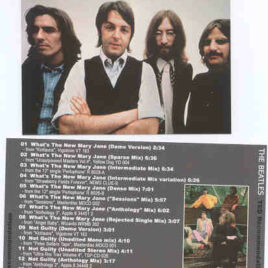 The Beatles - Ted Recommendation ( Extract Factory )