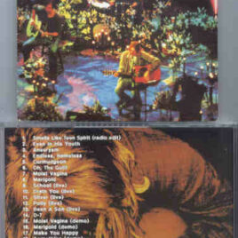 Nirvana - The Back Catalog