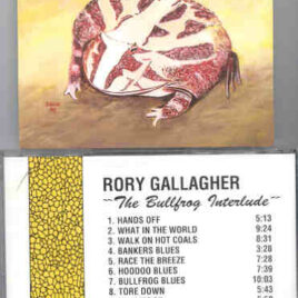 Rory Gallagher - The Bullfrog Interlude ( Flashback ) ( Live 1972 - 1973 )