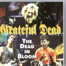 Grateful Dead - The Dead In Bloom ( 2 CD SET )  ( Boston Gardens , Ma , USA , Oct 3rd , 1994 ) front cover