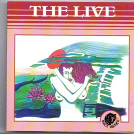 Bob Dylan - The Live Dylan  ( Black Panther ) ( Adelphi Theatre , Dublin , May 5th , 1966 ) front cover