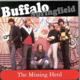 Neil Young / CSNY - The Missing Herd ( Buffalo Springfield ) ( 2 CD SET ) ( Unreleased Live & Studio Material ) front cover