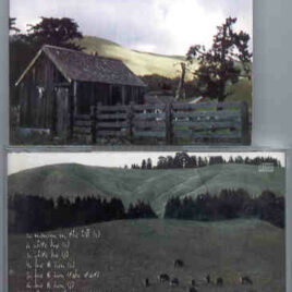 Neil Young / CSNY - The Ranch Rehearsals ( Rare unreleased tracks )