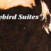 Yes - The Swiss Poodle ( Highland ) ( 2 CD!!!!! SET ) ( Rybearson Stadium , Ypsilanti , MI , July 20th , 1975 )