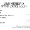 Jimi Hendrix - The Wind Cries Mary  ( Oil Well )