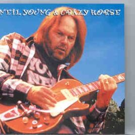 Neil Young / CSNY - The Year After The Horse ( Recorded in Europe , Summer 1996 , Unreleased Movie Soundtrack ) front cover