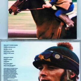 Neil Young / CSNY - Thoroughfare Gap ( Stephen Stills Album On CD )