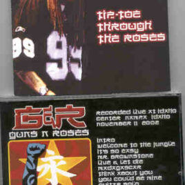 Guns N' Roses - Tip Toe Through The Roses ( Live At Idaho Center , Nampa , Idaho , November 11th , 2002 )
