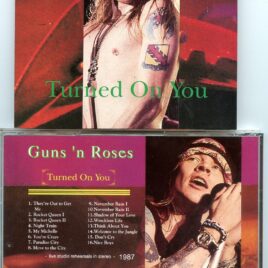 Guns N´Roses – Turned On You