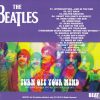 The Beatles - Turn Off Your Mind ( 2013 BEATFILE )