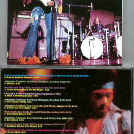 Jimi Hendrix - Voice Of Experience