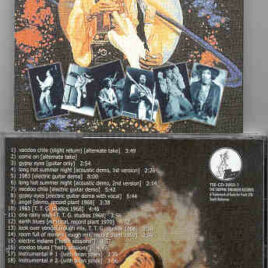 Jimi Hendrix - Voodoo Blues