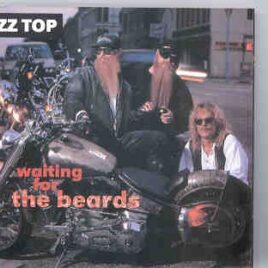 ZZ TOP - Waiting For The Beards ( Sweden , December 2nd , 1994 ) front cover