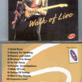 Dire Straits - Walk Of Live ( On Stage Recs ) ( Live During the 80's )
