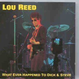 Lou Reed / Velvet Underground - What Ever Happened To Dick And Steve  ( Oh Boy Recs ) front cover