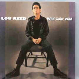 Lou Reed / Velvet Underground - Wild Goin' Wild  ( Philipshalle , Dusseldorf , Germany , April 20th , 2000 ) ( 2 CD SET ) ( STTP ) front cover