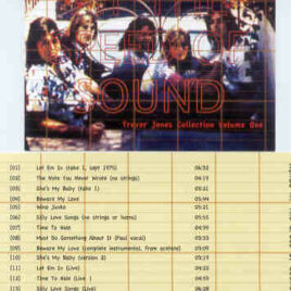 Paul McCartney - Wings At The Speed Of Sound Trevor Jones Collection Vol. 1 ( Audifon )
