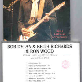 Bob Dylan - Live With The Rolling Stones 1984  ( Swingin Pig )
