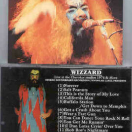 Roy Wood - Wizzard - Mysteries Of Merlin ( Tendolar )