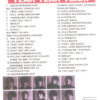 DVD The Beatles - Yeah , Yeah , Yeah !