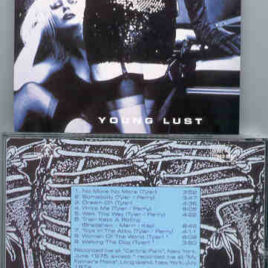 Aerosmith - Young Lust ( Living Legend )