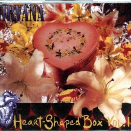 Nirvana - Heart Shaped Box Vol 1 ( 4 CD SET Plus TWO 32 Pages Booklets ) front cover