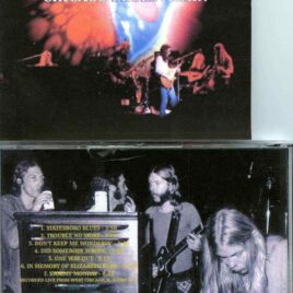 Allman Brothers- Chicago Blues Again ( WXRT FM Radio Broadcast from 1971 )
