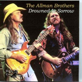 Allman Brothers- Drowned In Sorrow ( 2 CD SET ) ( Soundboard from Deer Creek , Noblesville , IN , USA , July 19th , 1989 ) front cover