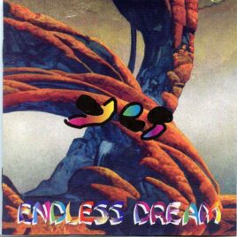 Yes- Endless Dream ( Live in Canidegua , New York , USA on June 19th , 1994 ) front cover