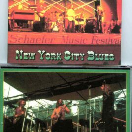 Allman Brothers- New York City Blues ( Recorded at the A/R Recording Studios , NYC , USA , August 26th , 1971 )