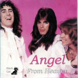 Angel - From Heaven ( 2 CD SET )( Budokan Hall, Tokyo, Japan, February 15th, 1977 ) front cover