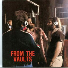 Beach Boys - From The Vaults ( 20 Ultrarare Trax - Demos , Vocal Sessions and more ) front cover