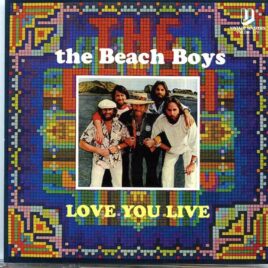Beach Boys - Love You Live ( Live At Seattle Center Coliseum , Seattle , WA , Dec 13th , 1977 ) front cover