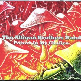 Allman Brothers - Poison In My Chalice ( 3 CD SET ) ( Beacon Theatre , New York, USA, March 23rd, 2007 ) front cover