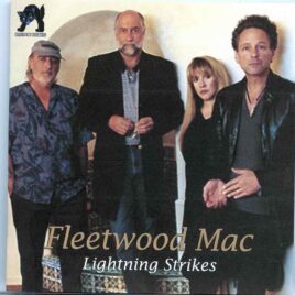 Fleetwood Mac - Lightning Strikes ( 2 CD Set ) ( Xcel Energy Center St Paul, MN, April 28th 2013 ) front cover