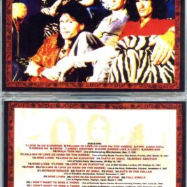 Aerosmith - Nine Lives Special 1997 - 1999 ( 1 CD - 2 DVD SET ) ( UK, Germany , Holland 1997 plus USA 98-99 and more )