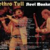 Jethro Tull - Steel Monkey ( Wembley Stadium, London, UK, September 1st, 1990 )