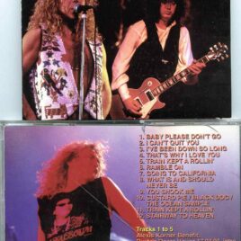 Zeppelin - Together Again I ( Buxton, Koln, Brixton, Birmingham, 1988 - 1993 - 1994 )