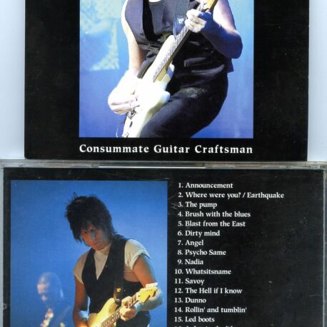 consummateguitarcraftsman.jpg