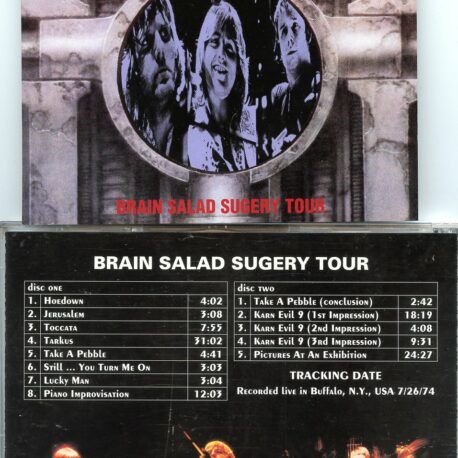 brainsaladsugerytour.jpg