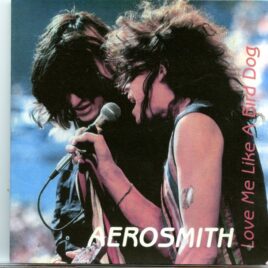 AEROSMITH - Love Me Like A Bird Dog  ( 1 CD )( Rick Robin Sessions, New York, February 1987 plus Studio rehearsals Spring 1986 ) front cover