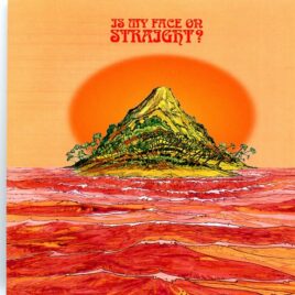 PREMIATA FORNERIA MARCONI - Is My Face On Straight ?  ( Live at Ultrasonic Studios, Hempstead, New York, USA, August 27th, 1974 ) front cover