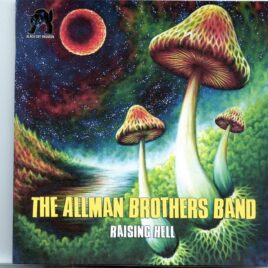 ALLMAN  BROTHERS  BAND - Raising Hell ( 2 CD SET ) ( Beacon Theater, New York, USA, March 29th, 2007 ) front cover